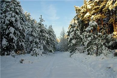 《赛博朋克2077》2.0更新公布 不买DLC也有大量新玩法