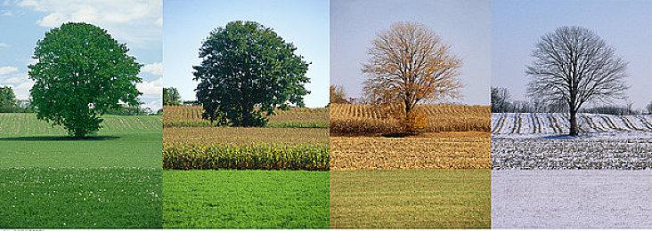 Bungie《马拉松》游戏大量细节外泄 氧气系统成为关键